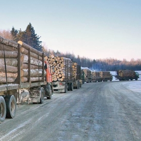 Logs exports from Russia to Finland is declining a moderate pace